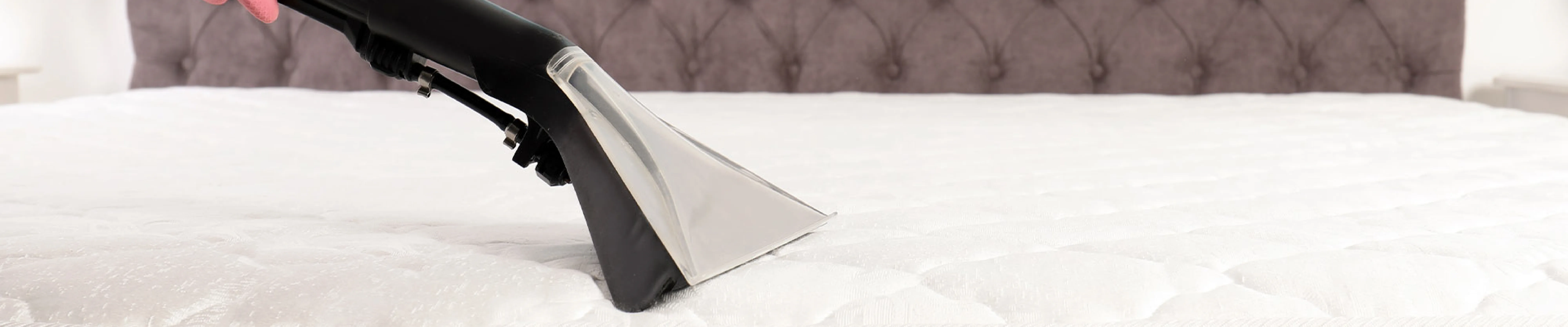 carpet cleaning in new york, carpet cleaning new york, carpet cleaners in new york, carpet cleaners in new york, commercial carpet cleaning, commercial carpet cleaning in new york, new york rug cleaners, rug cleaning services in new york, same day carpet cleaning, same day rug cleaning in new york