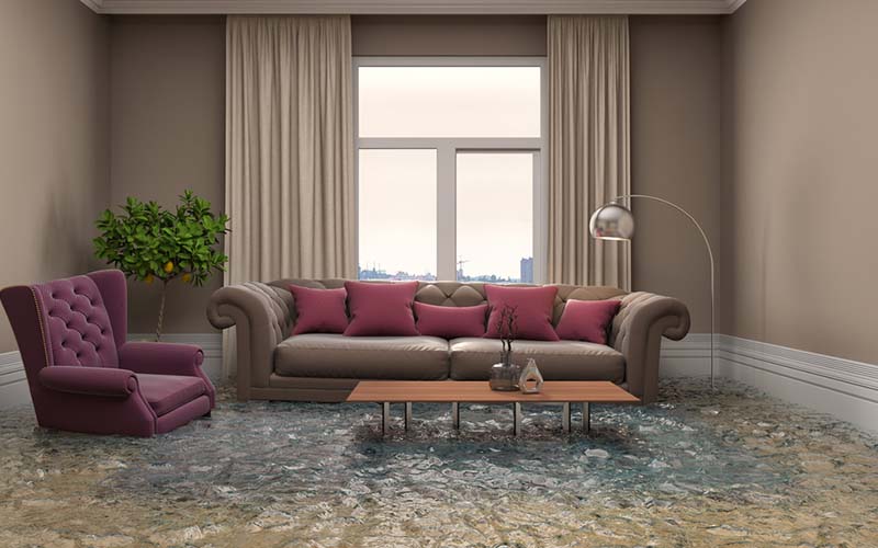 carpet cleaning in new york, carpet cleaning new york, carpet cleaners in new york, carpet cleaners in new york, commercial carpet cleaning, commercial carpet cleaning in new york, new york rug cleaners, rug cleaning services in new york, same day carpet cleaning, same day rug cleaning in new york